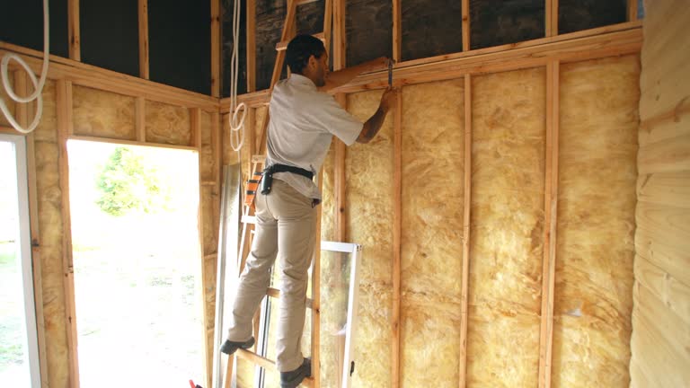 Best Insulation for New Construction  in Lawson, MO